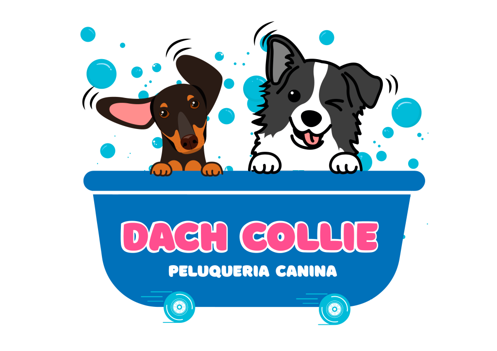 Brand Name : 